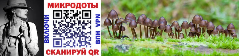 Галлюциногенные грибы ЛСД  Купить закладки  Старый Крым 